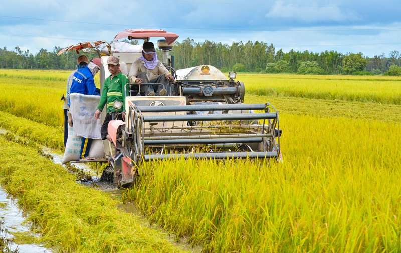 Điều kiện ảnh hưởng việc làm thêm tại Kiên Giang