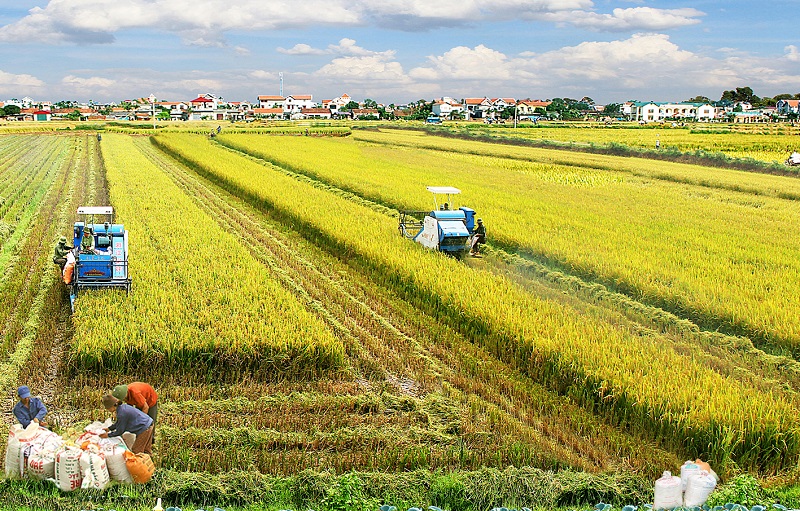 Các ngành nghề ở nông thôn hiện nay - ngành nghề về nông nghiệp