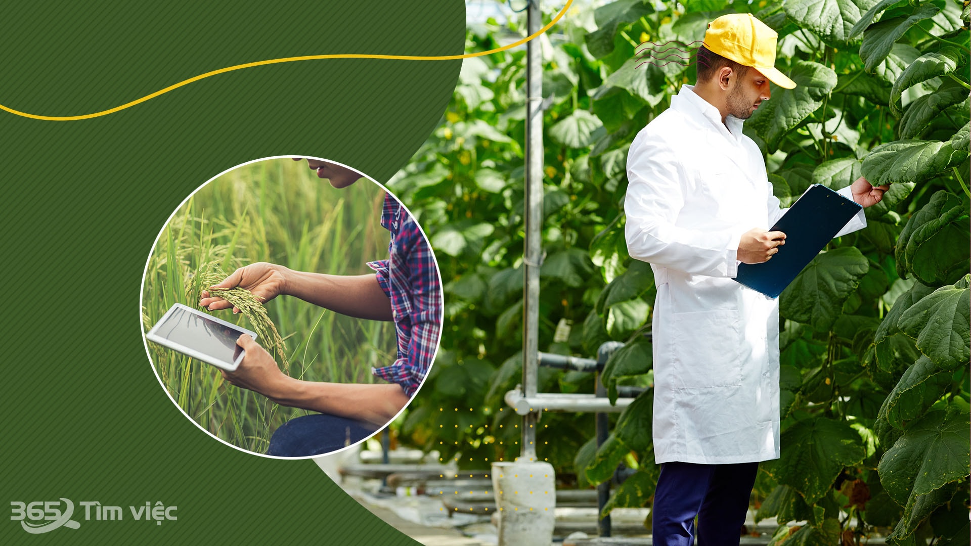 Ngành Công nghệ Kỹ thuật môi trường tại Khoa môi trường