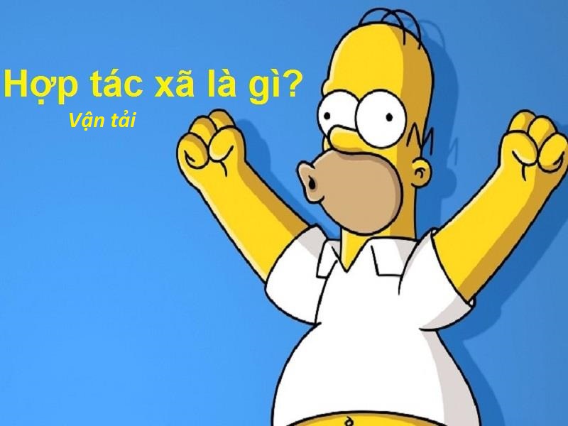 Hợp tác xã vận tải là gì