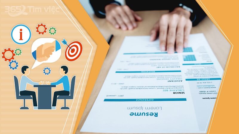 Các loại giấy tờ có sẵn trong túi đựng hồ sơ xin việc