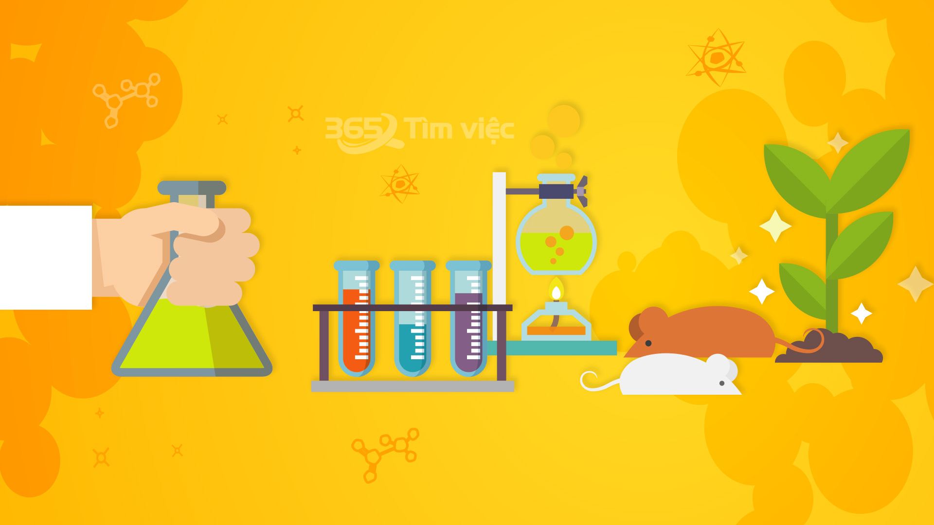 Kinh nghiệm ứng tuyển việc làm nhân viên thí nghiệm