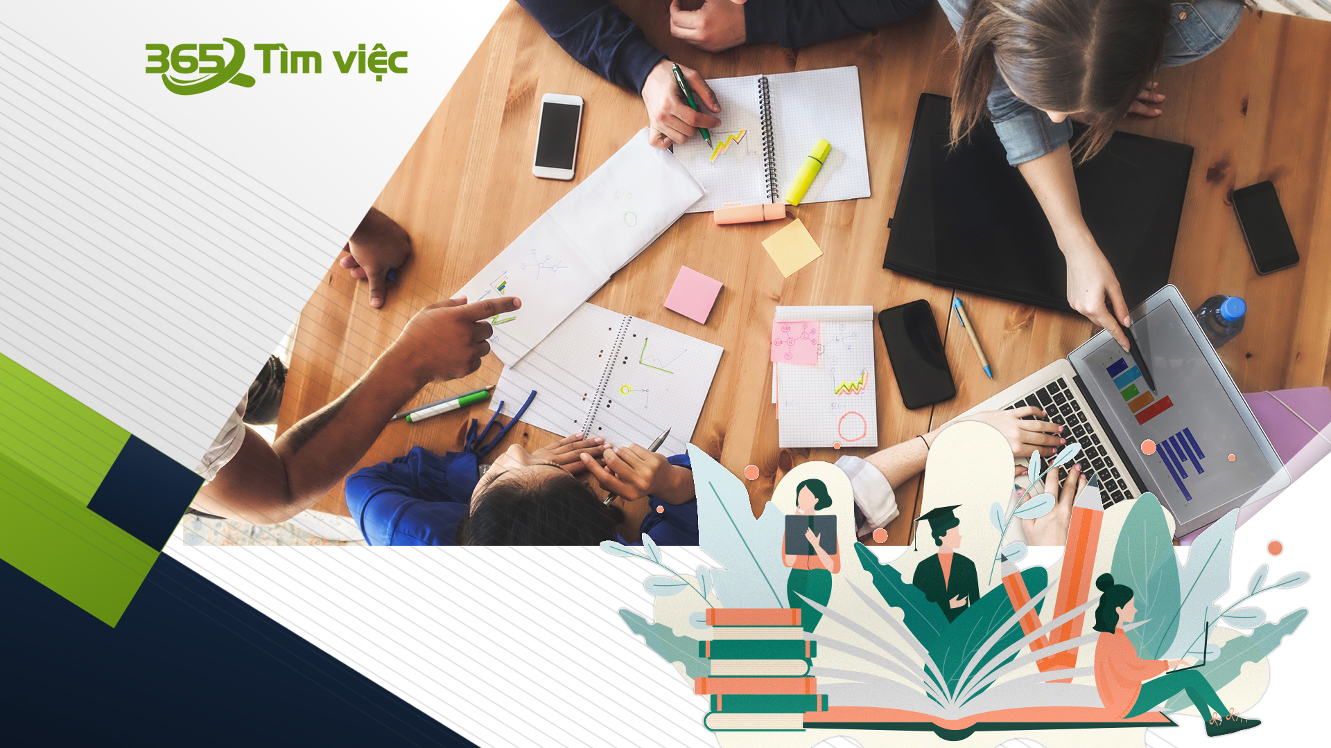 Sơ yếu lý lịch trên timviec365.vn