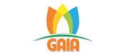 Công Ty CP Phát Triển Gd Quốc Tế Gaia