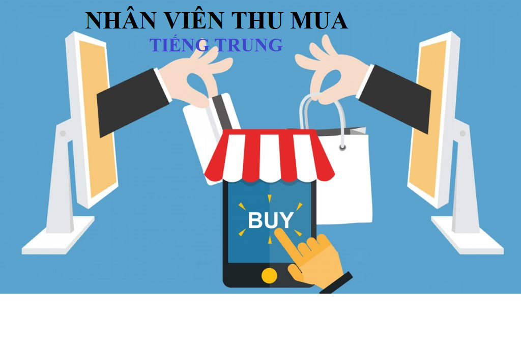 lĩnh vực hoạt động