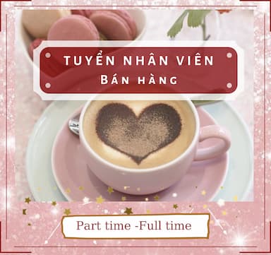 lĩnh vực hoạt động