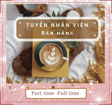 lĩnh vực hoạt động