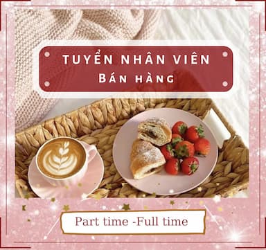 lĩnh vực hoạt động