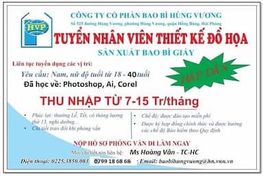 lĩnh vực hoạt động