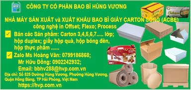 lĩnh vực hoạt động