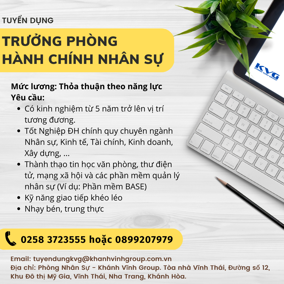 lĩnh vực hoạt động