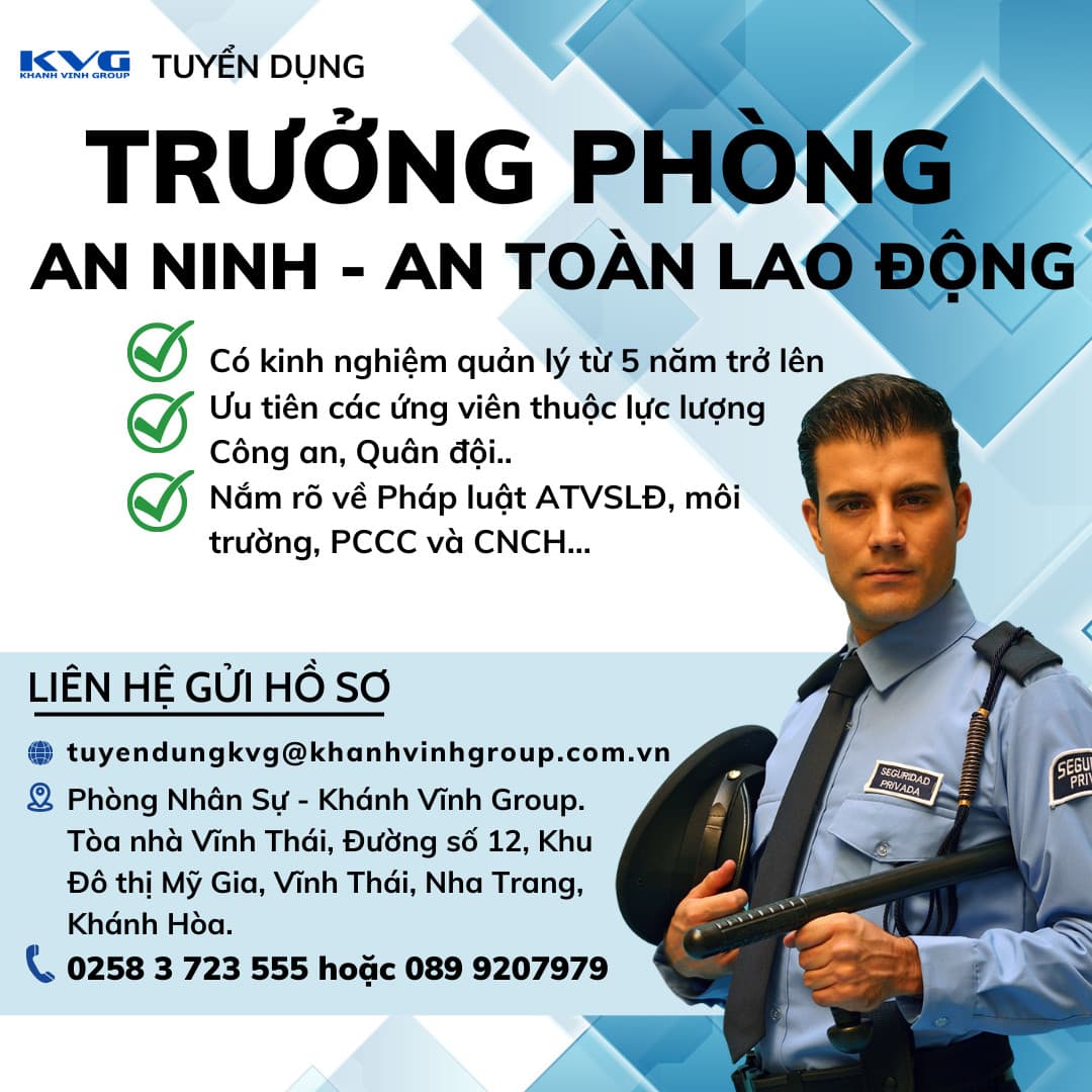 lĩnh vực hoạt động