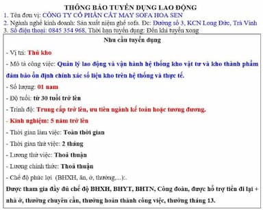 lĩnh vực hoạt động