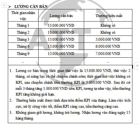 lĩnh vực hoạt động