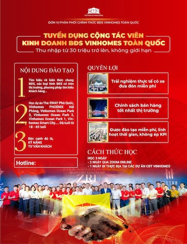 lĩnh vực hoạt động