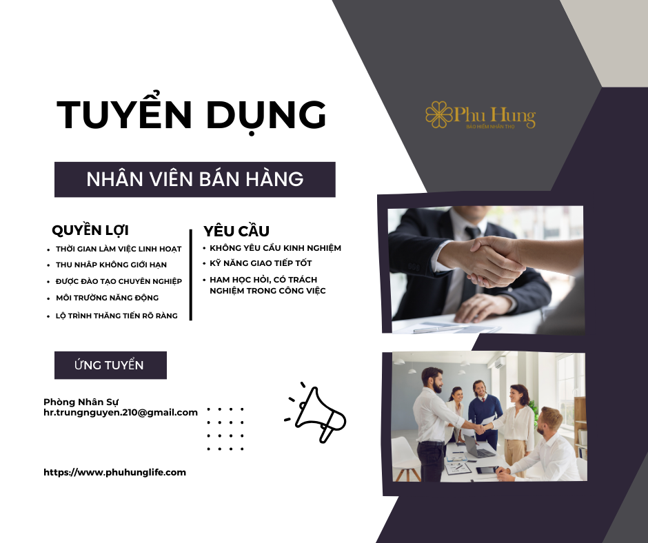 lĩnh vực hoạt động