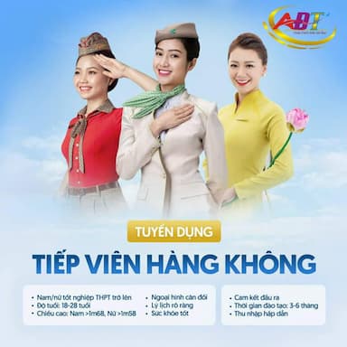 lĩnh vực hoạt động