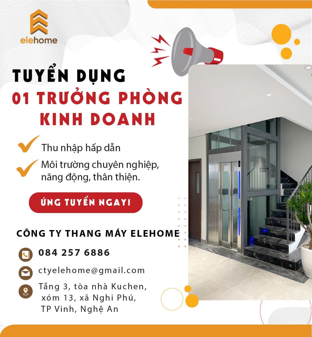 lĩnh vực hoạt động