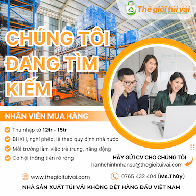 lĩnh vực hoạt động