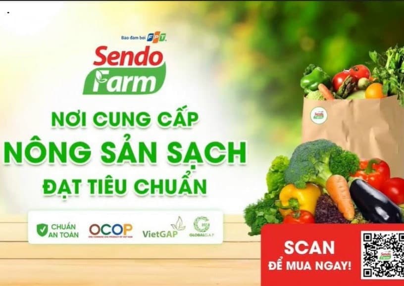 lĩnh vực hoạt động