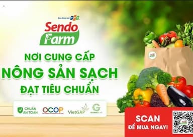 lĩnh vực hoạt động