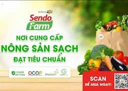 lĩnh vực hoạt động