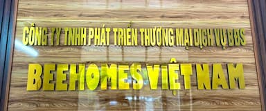 lĩnh vực hoạt động