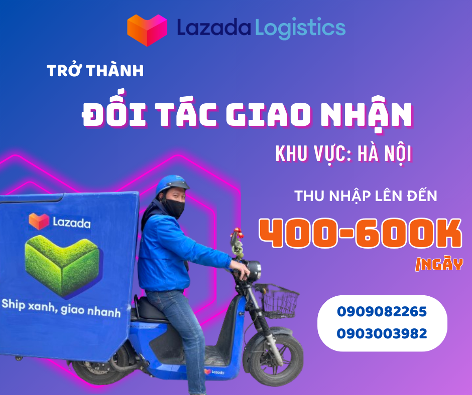 lĩnh vực hoạt động