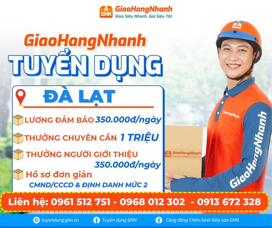 lĩnh vực hoạt động