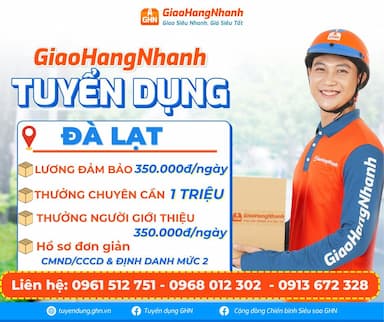 lĩnh vực hoạt động