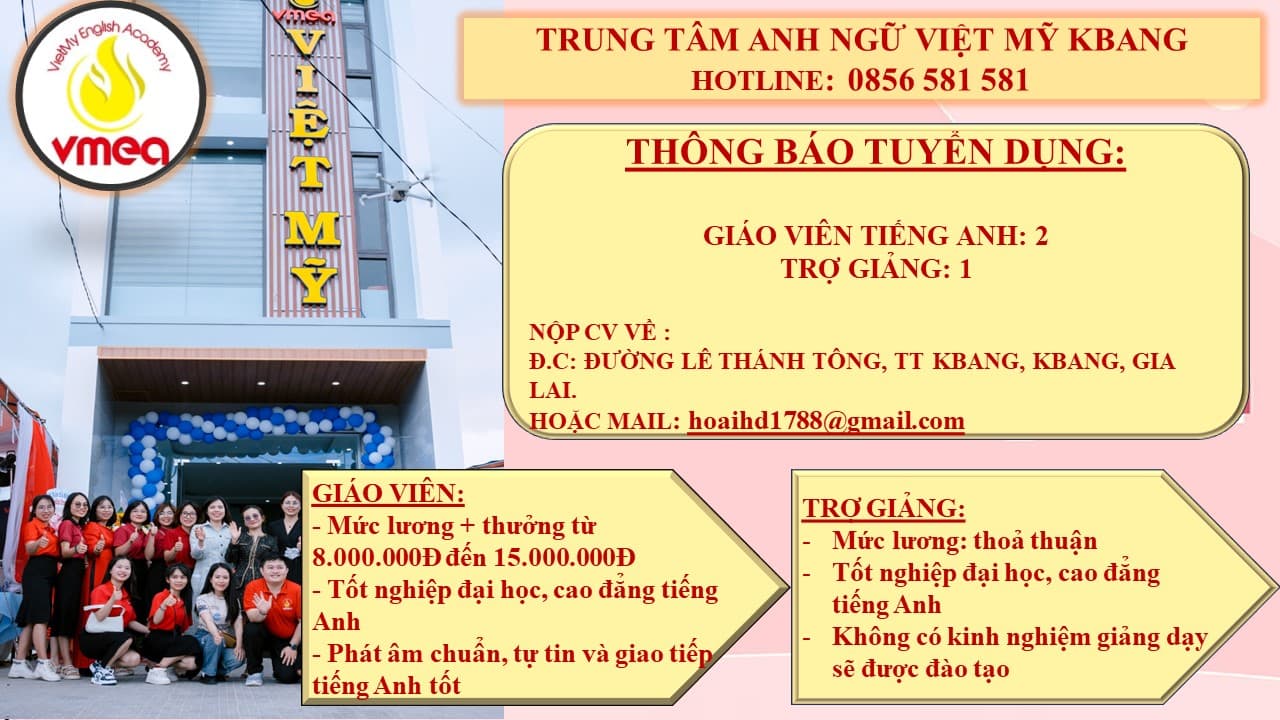 lĩnh vực hoạt động