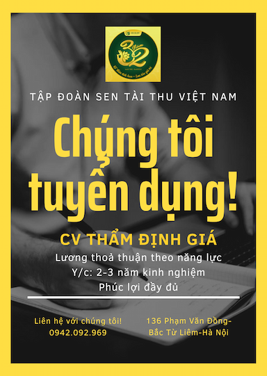 lĩnh vực hoạt động