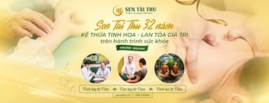 lĩnh vực hoạt động