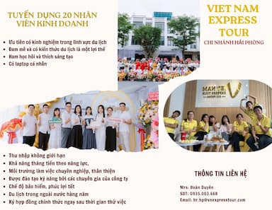 lĩnh vực hoạt động