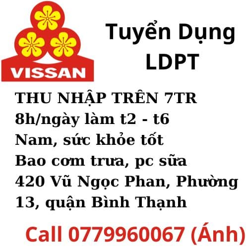 lĩnh vực hoạt động