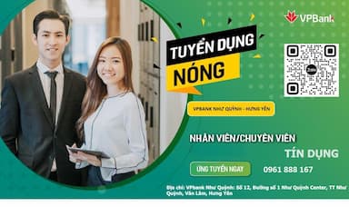 lĩnh vực hoạt động