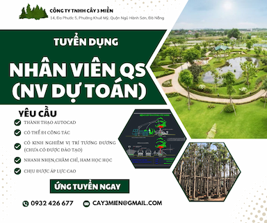 lĩnh vực hoạt động