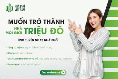 lĩnh vực hoạt động