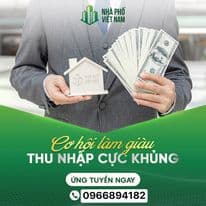 lĩnh vực hoạt động