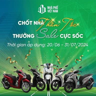 lĩnh vực hoạt động