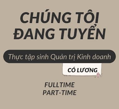 lĩnh vực hoạt động