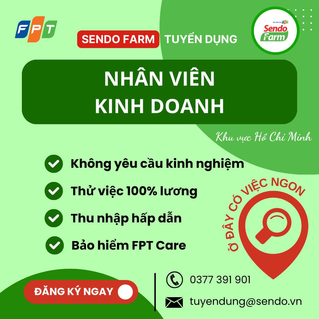 lĩnh vực hoạt động