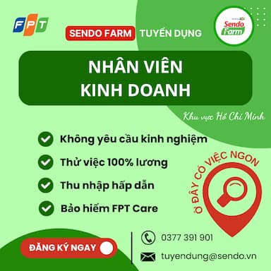 lĩnh vực hoạt động