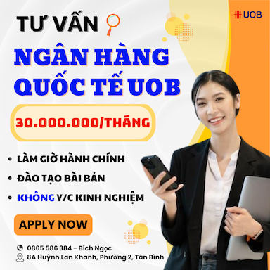 lĩnh vực hoạt động