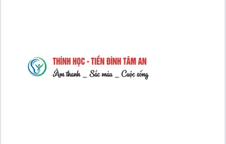 lĩnh vực hoạt động