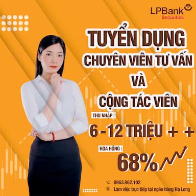 lĩnh vực hoạt động