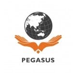 công ty cổ phần tư vấn đầu tư pegasus
