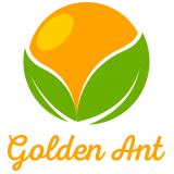 công ty TNHH golden ant