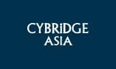                                                  cybridge asia                                             
