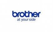                                                  brother international (vietnam) company limited                                             